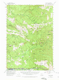 Download a high-resolution, GPS-compatible USGS topo map for Mill City, OR (1975 edition)