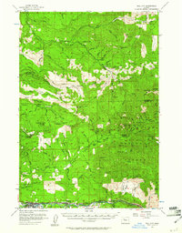 Download a high-resolution, GPS-compatible USGS topo map for Mill City, OR (1961 edition)
