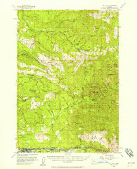 Download a high-resolution, GPS-compatible USGS topo map for Mill City, OR (1958 edition)
