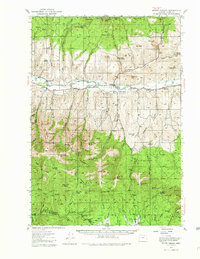 Download a high-resolution, GPS-compatible USGS topo map for Mount Vernon, OR (1982 edition)