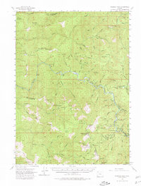 Download a high-resolution, GPS-compatible USGS topo map for Pearsoll Peak, OR (1980 edition)