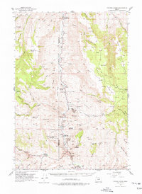 Download a high-resolution, GPS-compatible USGS topo map for Picture Gorge, OR (1977 edition)