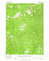 Download a high-resolution, GPS-compatible USGS topo map for Red Butte, OR (1963 edition)