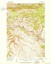 Download a high-resolution, GPS-compatible USGS topo map for Ritter, OR (1952 edition)