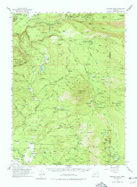 Download a high-resolution, GPS-compatible USGS topo map for Rustler Peak, OR (1977 edition)