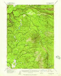 Download a high-resolution, GPS-compatible USGS topo map for Rustler Peak, OR (1961 edition)