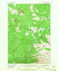 Download a high-resolution, GPS-compatible USGS topo map for Saddle Mountain, OR (1965 edition)