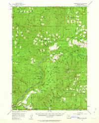Download a high-resolution, GPS-compatible USGS topo map for Sardine Butte, OR (1963 edition)