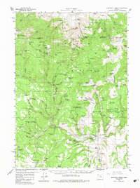 Download a high-resolution, GPS-compatible USGS topo map for Sawtooth Creek, OR (1983 edition)