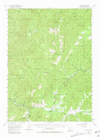 Download a high-resolution, GPS-compatible USGS topo map for Selma, OR (1981 edition)