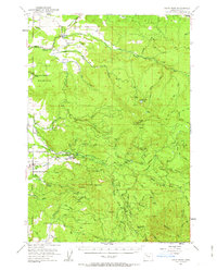 Download a high-resolution, GPS-compatible USGS topo map for Snow Peak, OR (1963 edition)