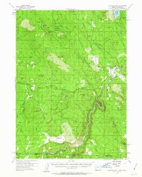 Download a high-resolution, GPS-compatible USGS topo map for Surveyor Mtn, OR (1963 edition)