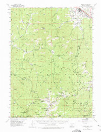 Download a high-resolution, GPS-compatible USGS topo map for Talent, OR (1975 edition)