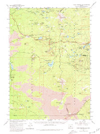 Download a high-resolution, GPS-compatible USGS topo map for Three Fingered Jack, OR (1980 edition)