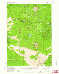Download a high-resolution, GPS-compatible USGS topo map for Three Fingered Jack, OR (1961 edition)