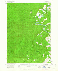 Download a high-resolution, GPS-compatible USGS topo map for Tyee, OR (1963 edition)