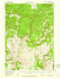 Download a high-resolution, GPS-compatible USGS topo map for West Myrtle Butte, OR (1960 edition)