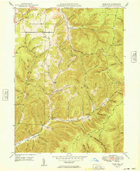 preview thumbnail of historical topo map of Potter County, PA in 1949