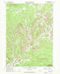 Download a high-resolution, GPS-compatible USGS topo map for Brandy Camp, PA (1972 edition)
