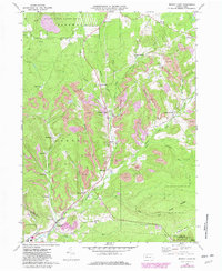 Download a high-resolution, GPS-compatible USGS topo map for Brandy Camp, PA (1982 edition)
