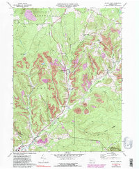 Download a high-resolution, GPS-compatible USGS topo map for Brandy Camp, PA (1983 edition)