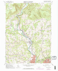 Download a high-resolution, GPS-compatible USGS topo map for Cogan Station, PA (1973 edition)
