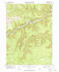 Download a high-resolution, GPS-compatible USGS topo map for Dents Run, PA (1973 edition)