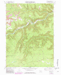 Download a high-resolution, GPS-compatible USGS topo map for Dents Run, PA (1982 edition)