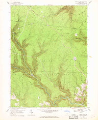 Download a high-resolution, GPS-compatible USGS topo map for Devils Elbow, PA (1969 edition)