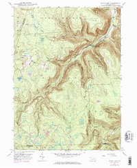 Download a high-resolution, GPS-compatible USGS topo map for Dutch Mtn, PA (1971 edition)