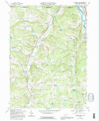 Download a high-resolution, GPS-compatible USGS topo map for Franklin Forks, PA (1995 edition)