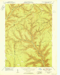 Download a high-resolution, GPS-compatible USGS topo map for Lee Fire Tower, PA (1950 edition)