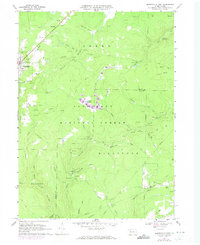 Download a high-resolution, GPS-compatible USGS topo map for Marienville East, PA (1973 edition)