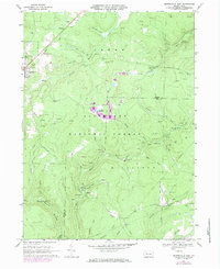 Download a high-resolution, GPS-compatible USGS topo map for Marienville East, PA (1984 edition)