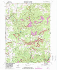 Download a high-resolution, GPS-compatible USGS topo map for Mc Gees Mills, PA (1989 edition)