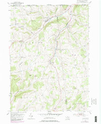 Download a high-resolution, GPS-compatible USGS topo map for Millerton, PA (1980 edition)