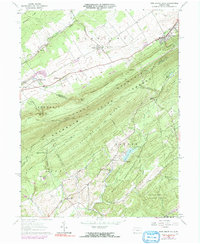 Download a high-resolution, GPS-compatible USGS topo map for Pine Grove Mills, PA (1991 edition)