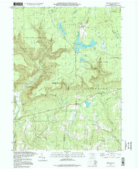 preview thumbnail of historical topo map of Luzerne County, PA in 1995