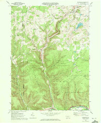 Download a high-resolution, GPS-compatible USGS topo map for Sabinsville, PA (1972 edition)