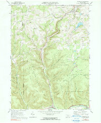 Download a high-resolution, GPS-compatible USGS topo map for Sabinsville, PA (1990 edition)