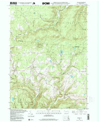 Download a high-resolution, GPS-compatible USGS topo map for Shunk, PA (1999 edition)