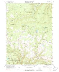 Download a high-resolution, GPS-compatible USGS topo map for Shunk, PA (1989 edition)