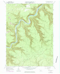 Download a high-resolution, GPS-compatible USGS topo map for Snow Shoe NW, PA (1983 edition)