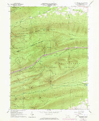 Download a high-resolution, GPS-compatible USGS topo map for Williamsport SE, PA (1973 edition)