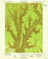 Download a high-resolution, GPS-compatible USGS topo map for Young Womans Creek, PA (1946 edition)