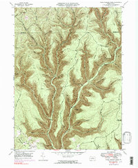 Download a high-resolution, GPS-compatible USGS topo map for Young Womans Creek, PA (1983 edition)