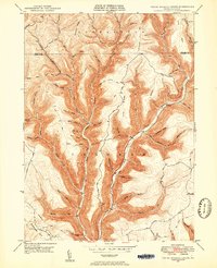 Download a high-resolution, GPS-compatible USGS topo map for Young Womans Creek, PA (1953 edition)
