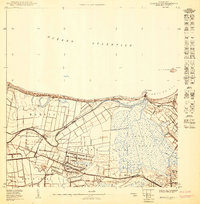 1950 Map of Bayamon NO