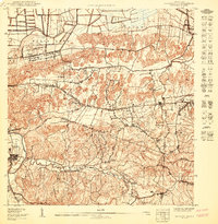 1950 Map of Bayamon SO