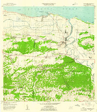 1957 Map of Barceloneta, PR, 1961 Print